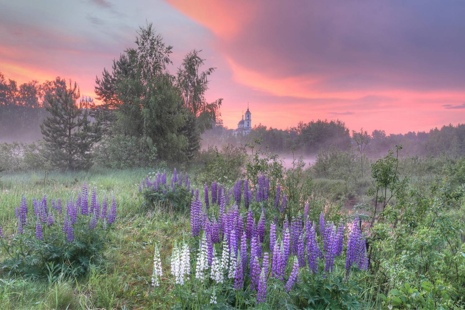 , Добролюбова Тамара