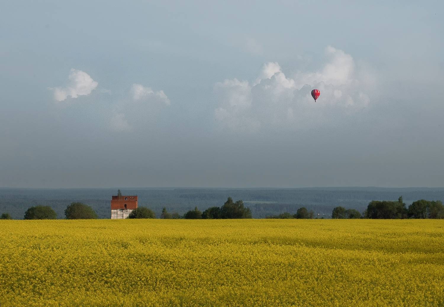 , Баранов Олег