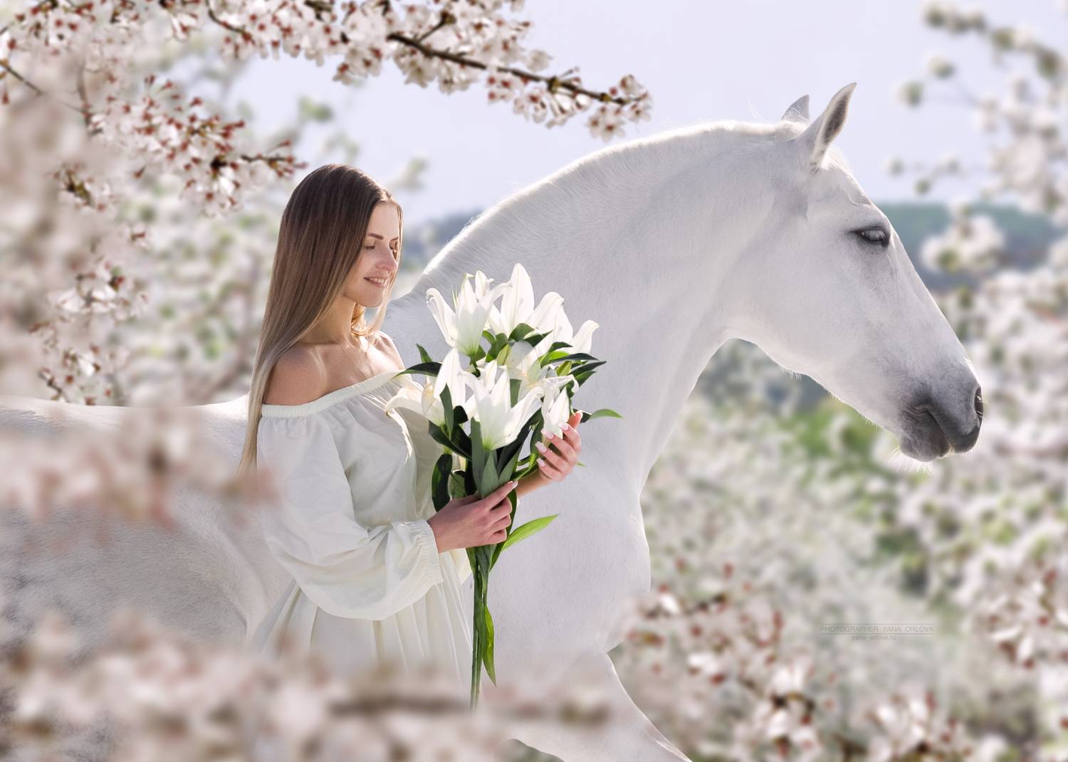 horse, horses, лошадь, конь, конныйфотограф, кэнон, canon, 7020028, лошади, конный фотограф Яна Орлова, фотографияслошадью, фотосессияслошадью, фотосессиислошадьми, коннаяфотография, pferd, horsephotographer, женский портрет, девушка , Яна Орлова