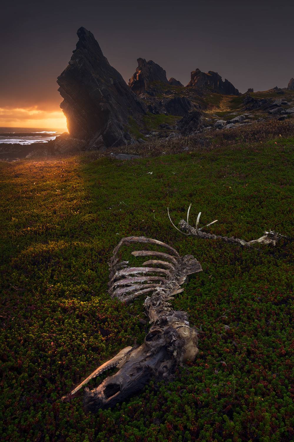 север, рыбачий, кекурский, скалы, фототур, Александр Дударев