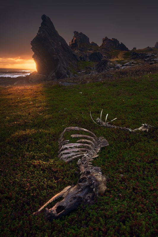 север, рыбачий, кекурский, скалы, фототур Про драконов фото превью