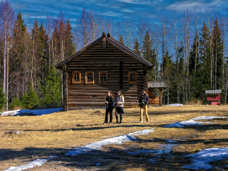 У леса на опушке... фото превью