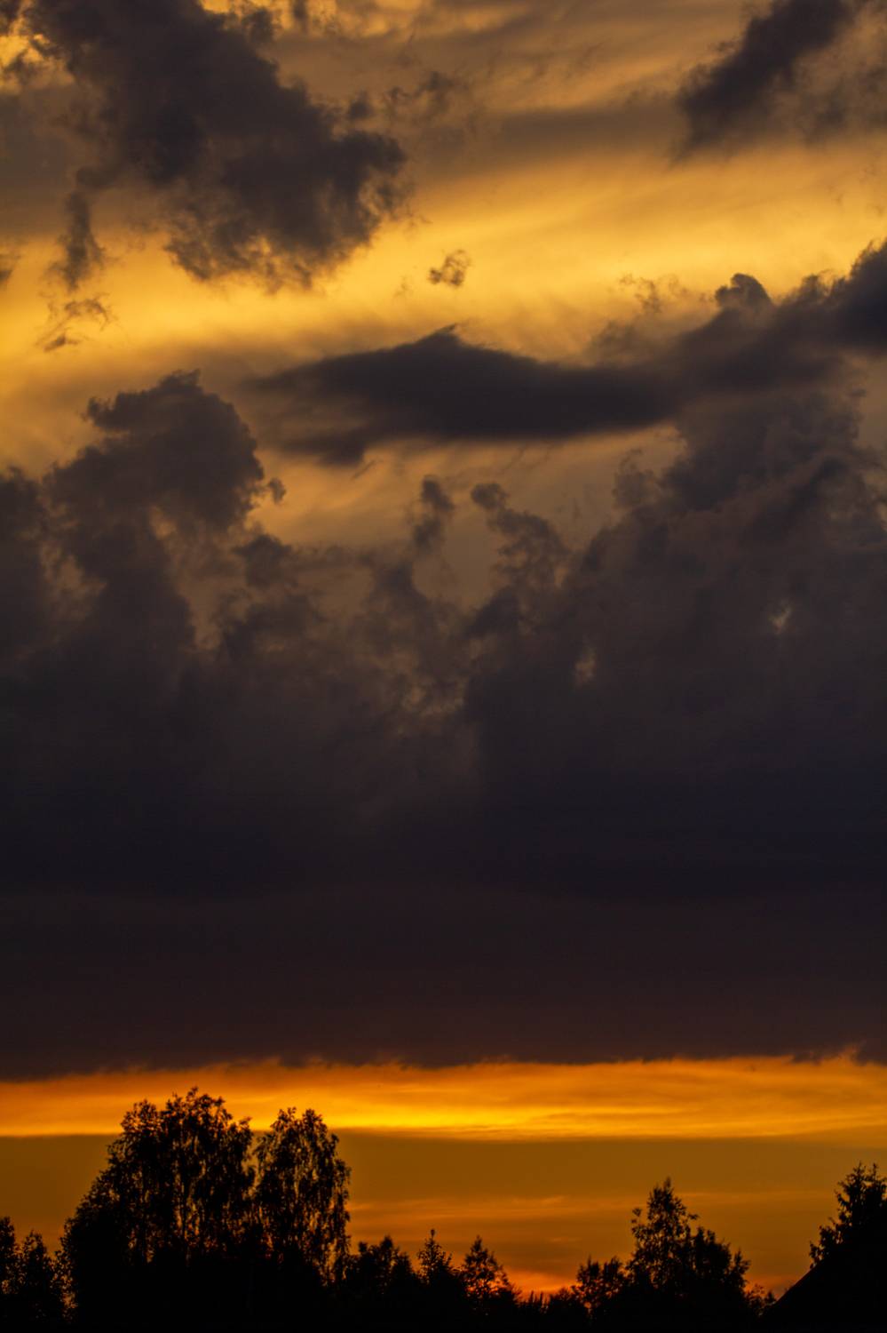 , Сергей Фаренюк