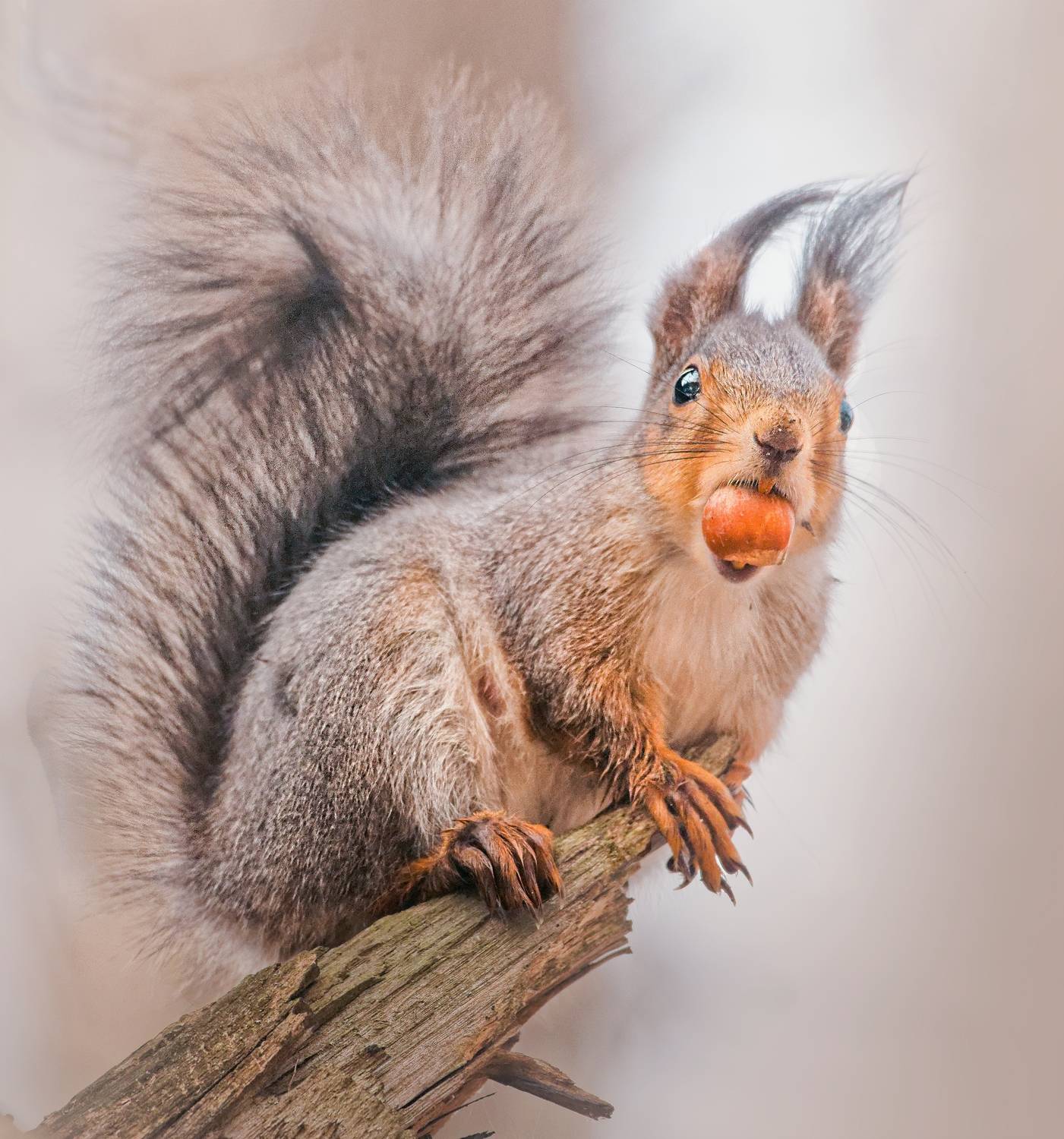 , Фото Александр