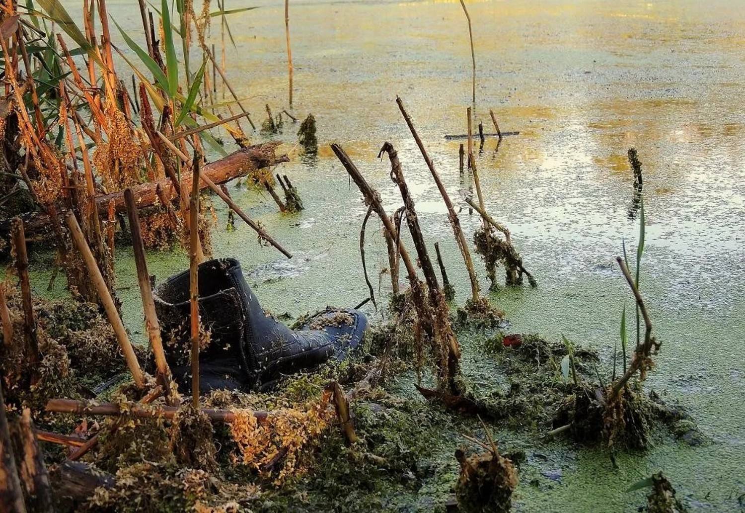 , Савоцкий Роман