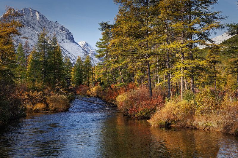 Ручей Неведомый фото превью