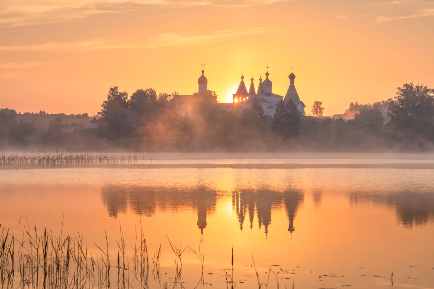 , Максим Евдокимов