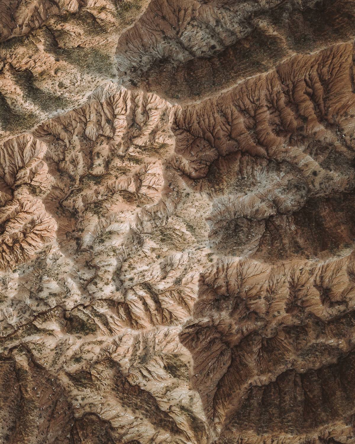 , Слава Азаров