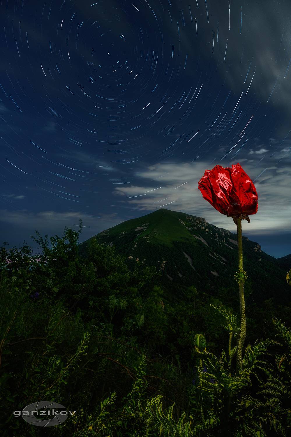Россия, Кавказ, Ставрополье, КМВ, Пятигорск, цветы, мак, ночь, звезды, лето, треки, Владимир Ганзиков