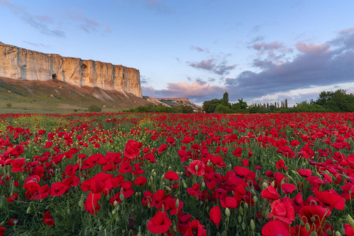 , Юлия Мальцева