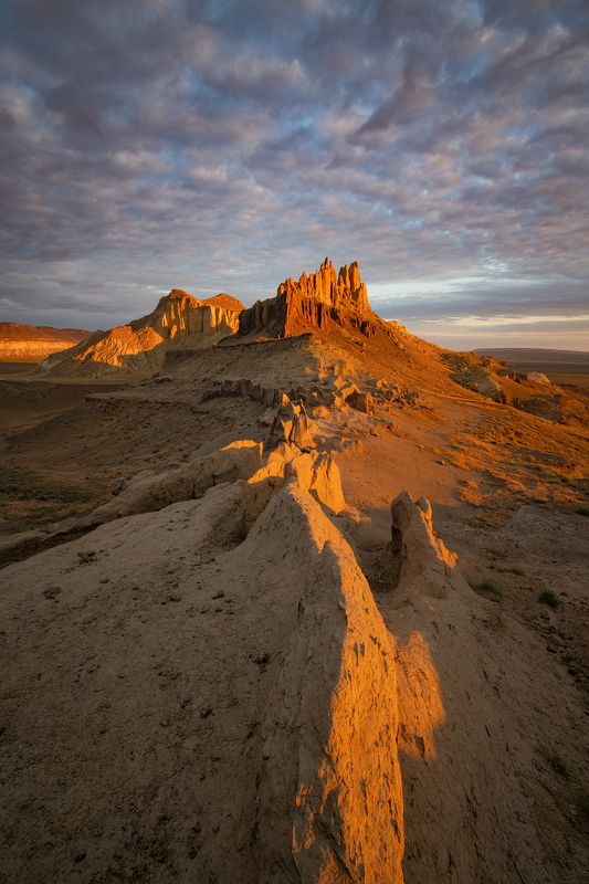 Золотой Дракон. фото превью
