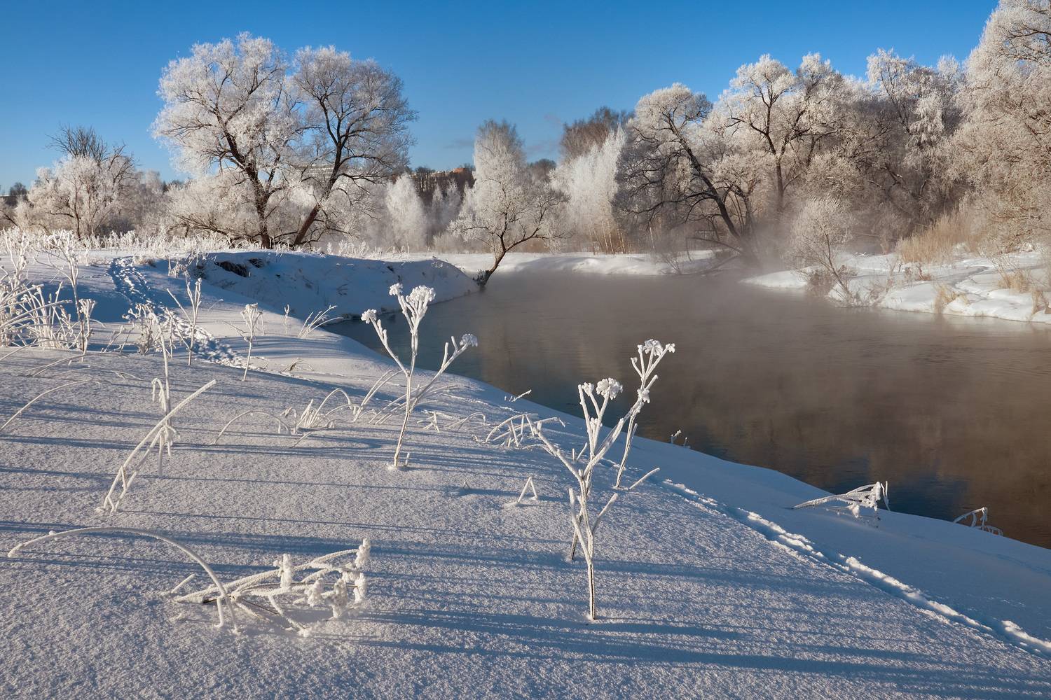 река  истра, мороз, иней, Медведев Александр