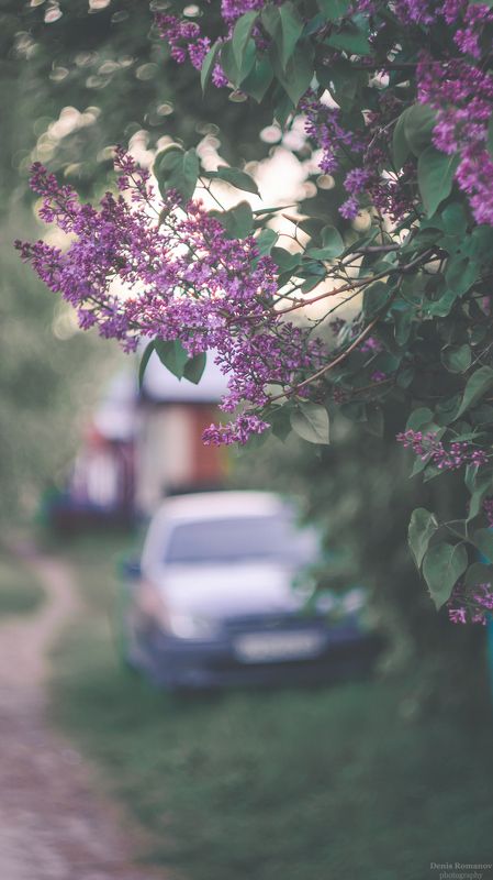 *** фото превью