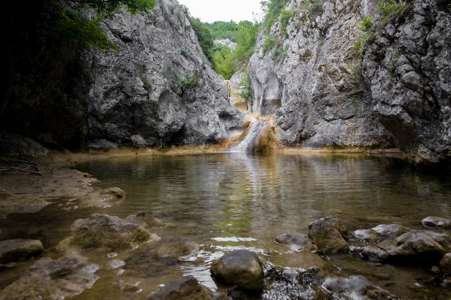 , Игорь Вишневский