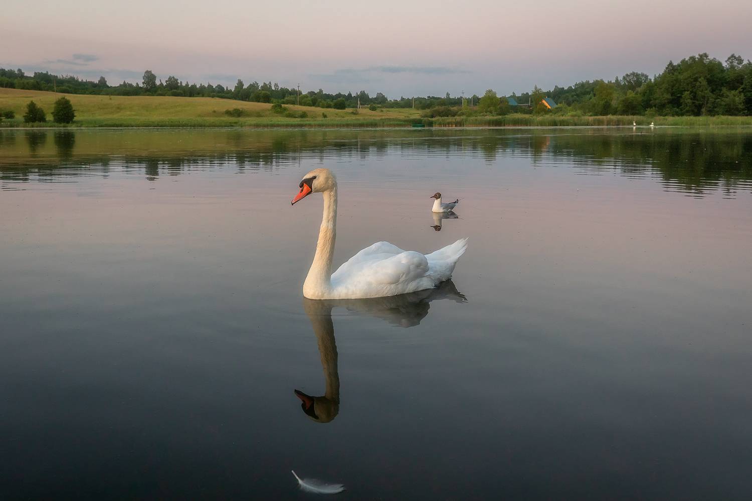 , Alexander Pashenichev