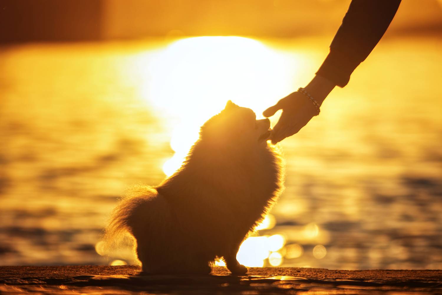 , Зубкова Юлия