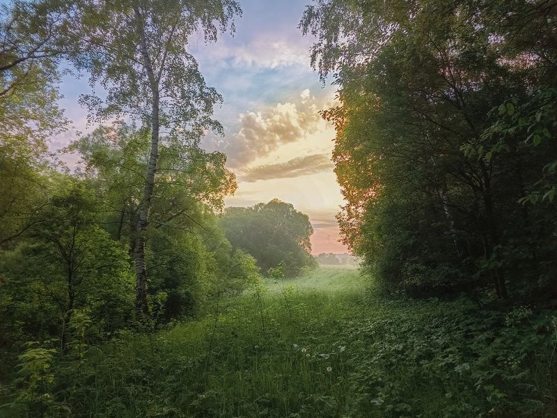 фото превью