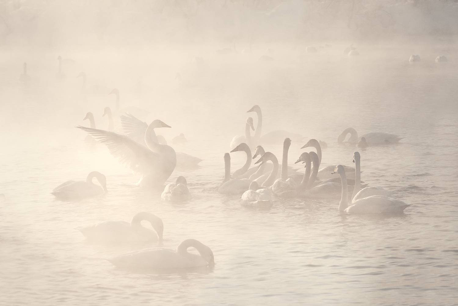 , Рагинская Ольга