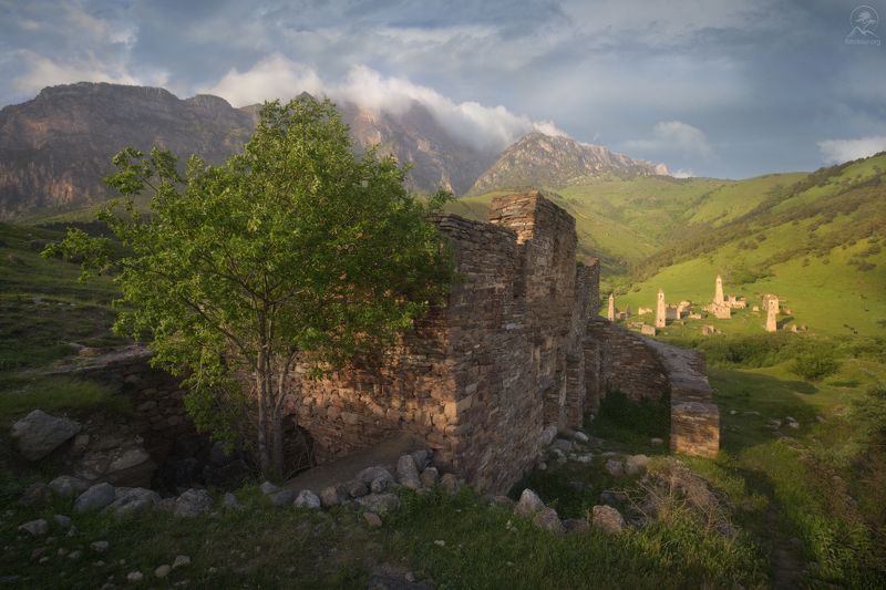 кавказ, ингушетия, эрзи, фототур в ингушетию, таргим, башни Башни Таргим фото превью