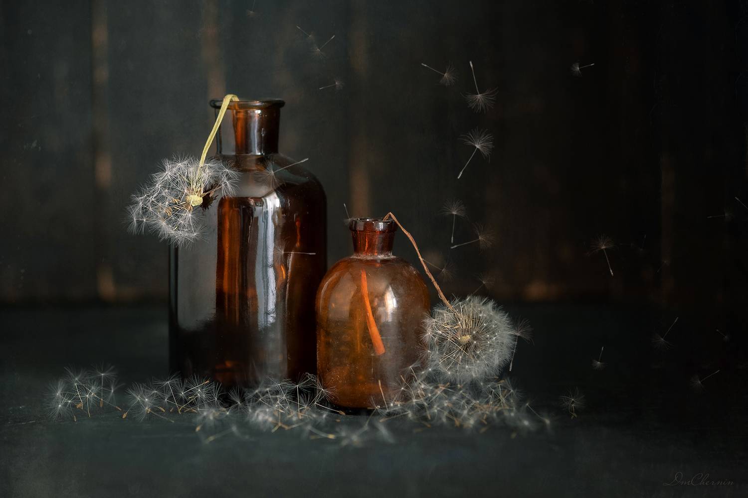 , Чернин Дмитрий