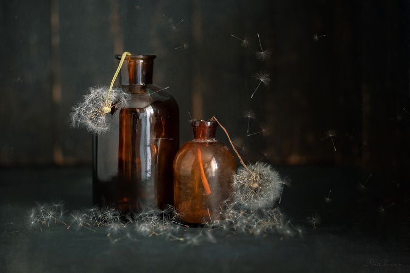 .... фото превью