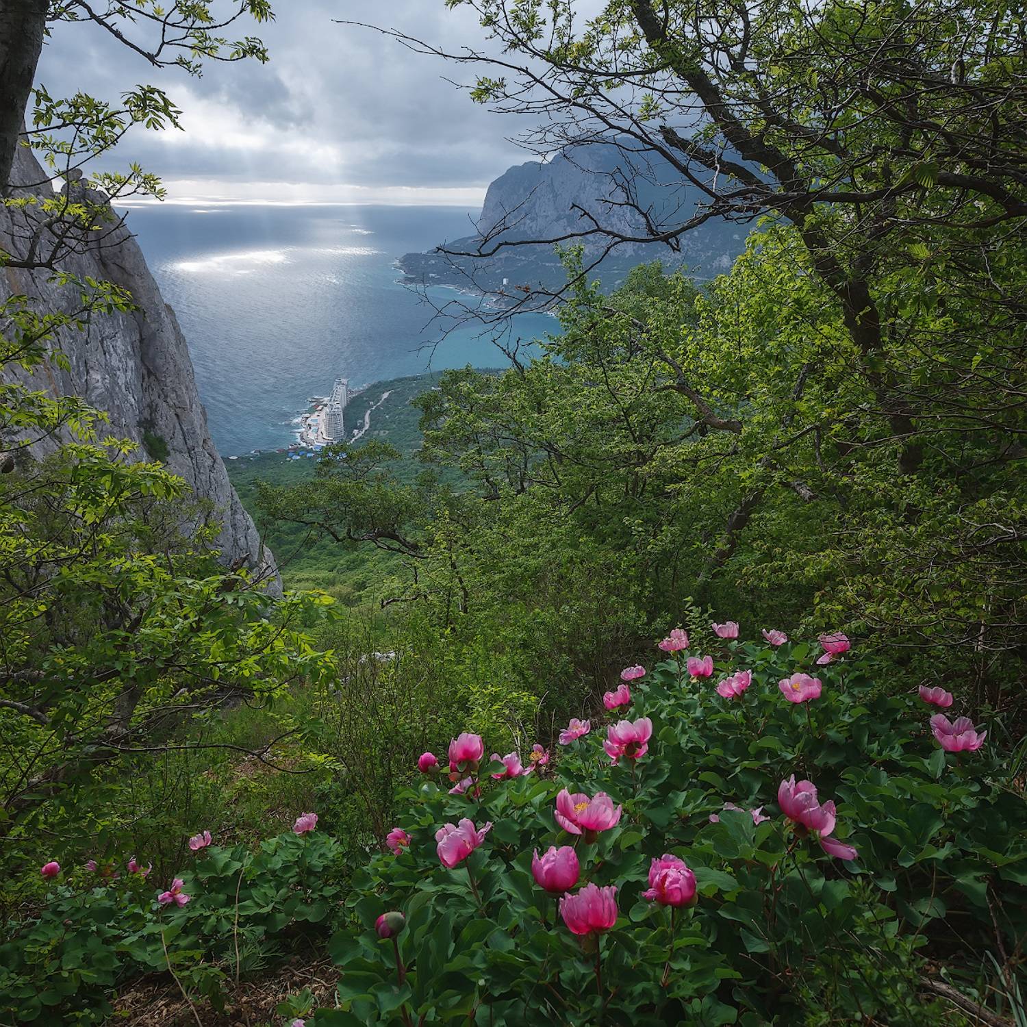 крым, горы, весна,цветы., Владимир Дубинин