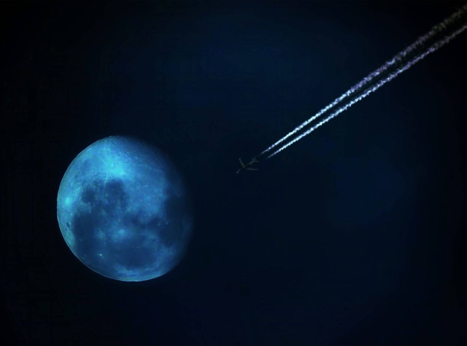 , Савоцкий Роман