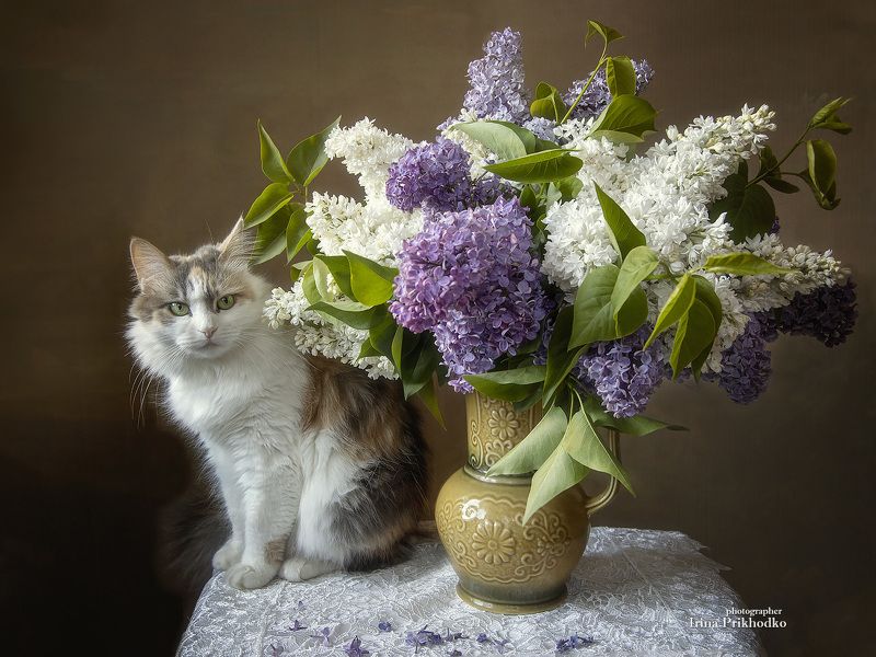 Выглядывая из-за букета... фото превью