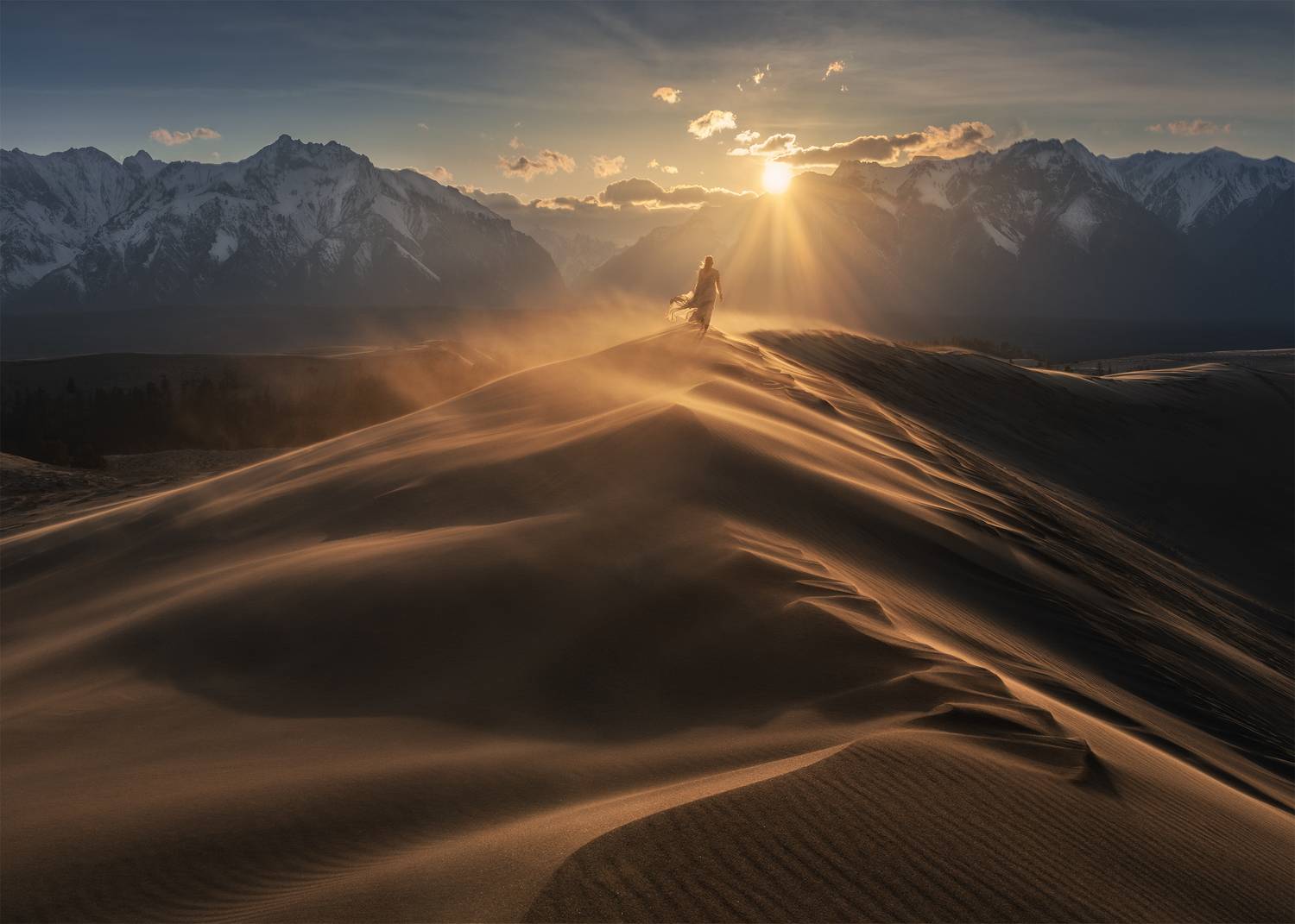 , Политова Анна