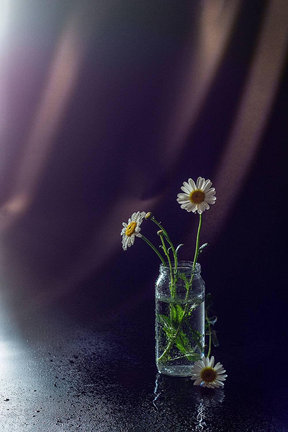 ромашки, цветы, баночка, стекло, вода, брызги, Баг Алексей