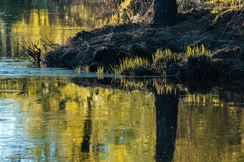 весна, май, разлив, первая зелень, лесная река, отражения, мещёра, рязанская область. Про магию отражений фото превью