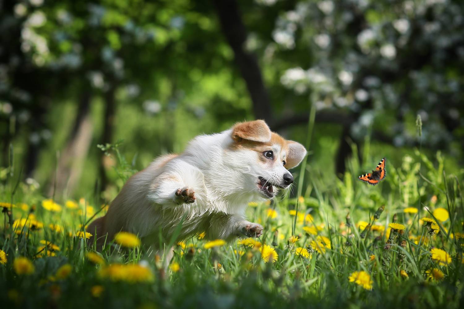 , Андрей Ершов
