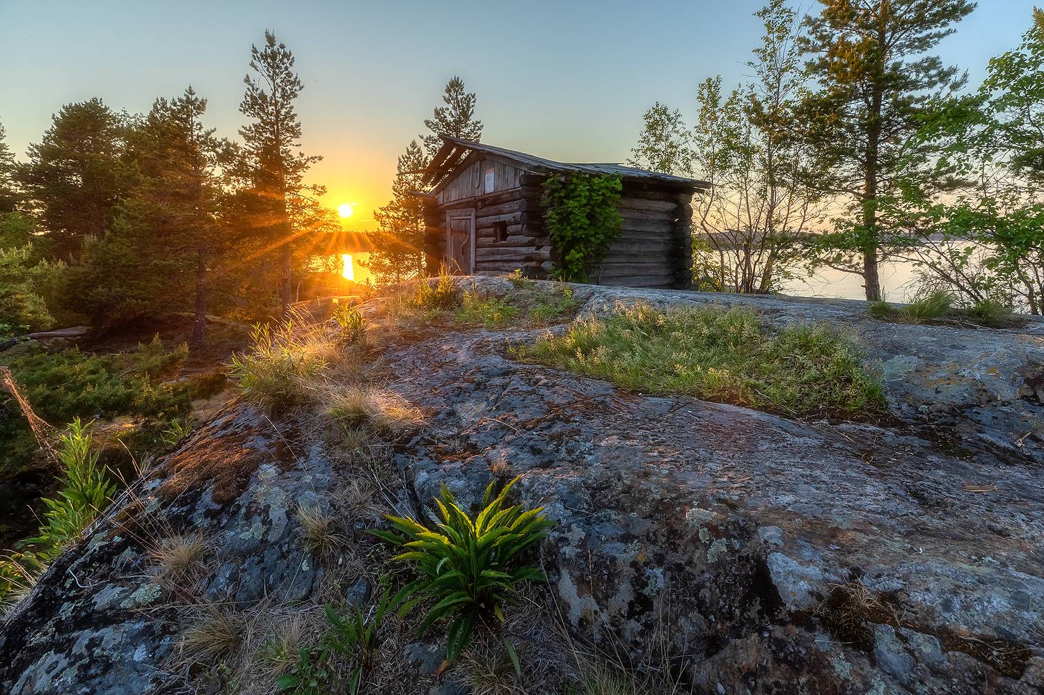 , Alexander Pashenichev