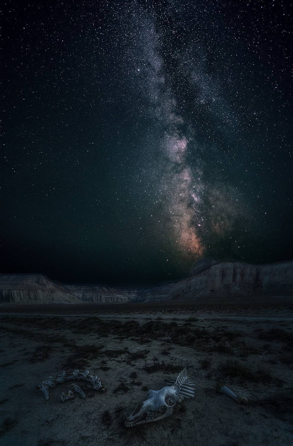 , Алексей Котлов