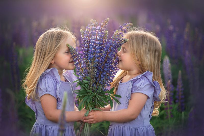 Аромат лета фото превью