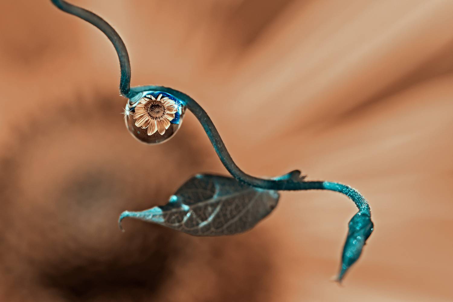 , Рагинская Ольга