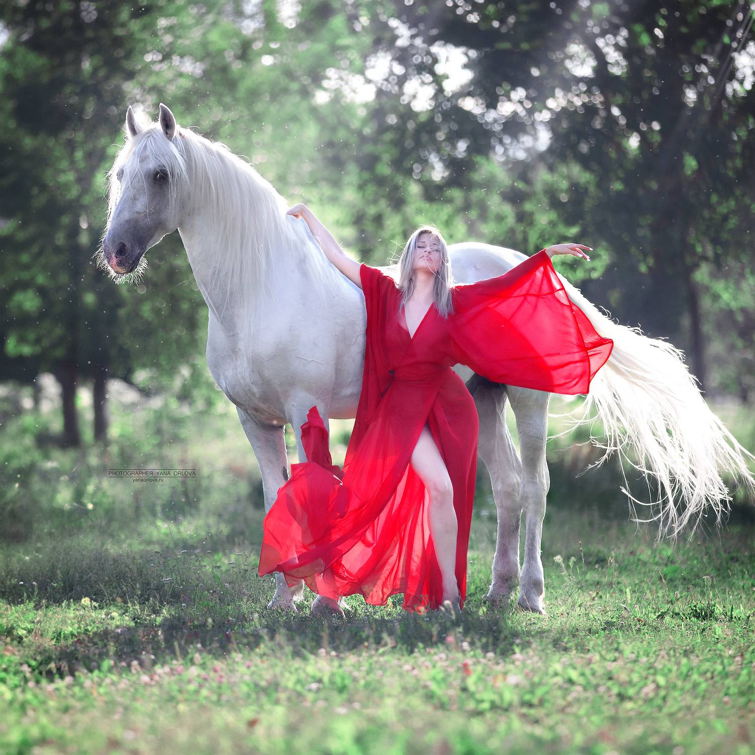 horse, конный фотограф Яна Орлова, horses, лошадь, конь, конныйфотограф, кэнон, canon, 7020028, лошади, фотографияслошадью, фотосессияслошадью, орловскийрысак, фотосессиислошадьми, коннаяфотография, pferd, horsephotographer, женский портрет, девушка , Яна Орлова