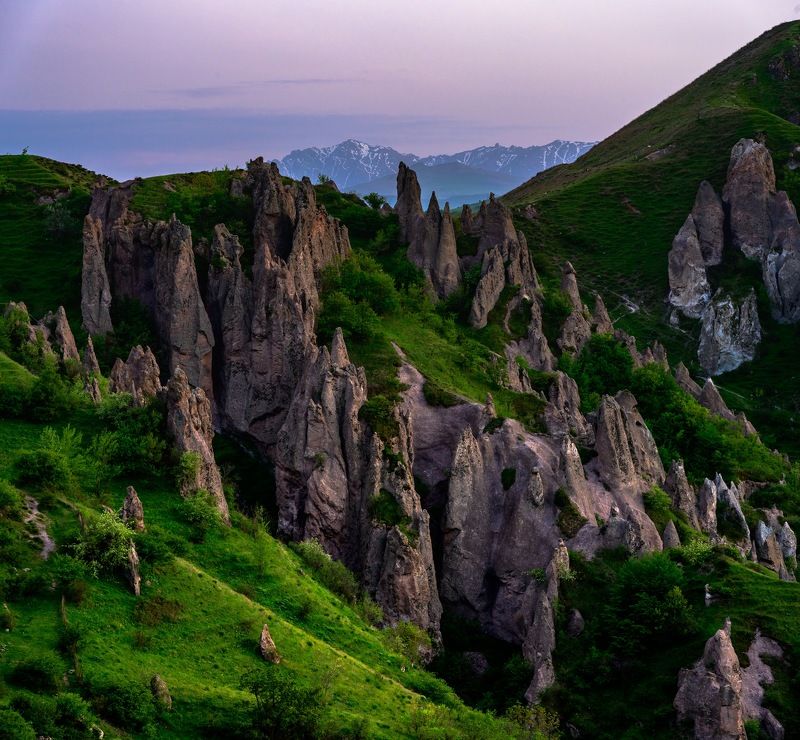 Каменный лес фото превью