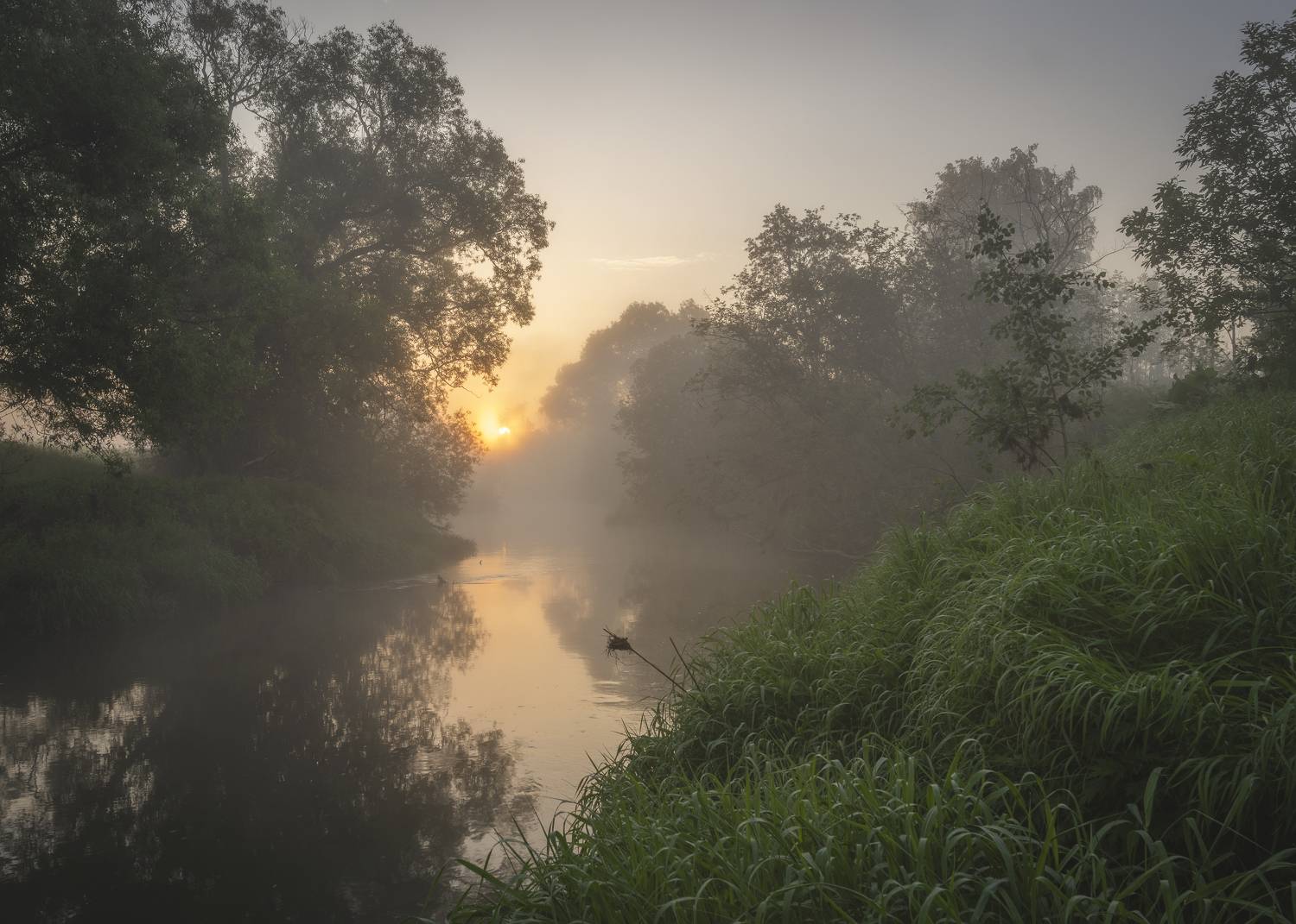 , Mikhail Ioannisian