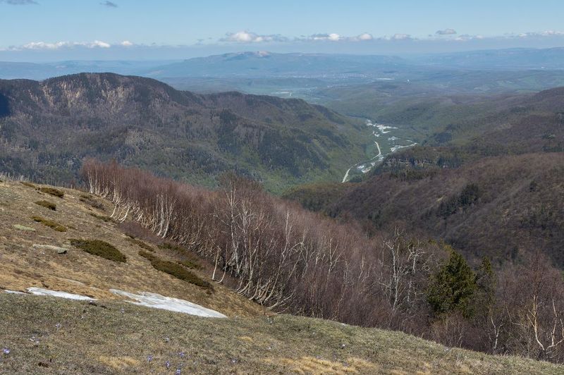 горы, склон, долина, луг, лес, береза, дерево, перспектива Пространство фото превью