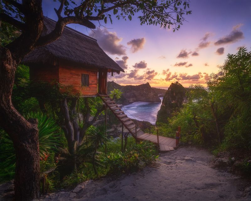 Tree House фото превью