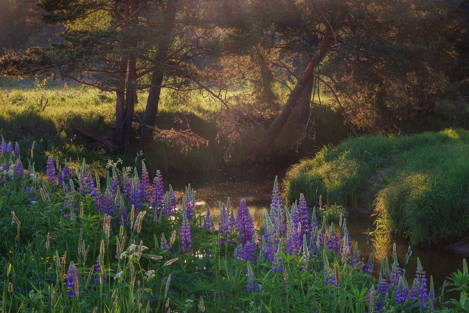 , Морозов Сергей