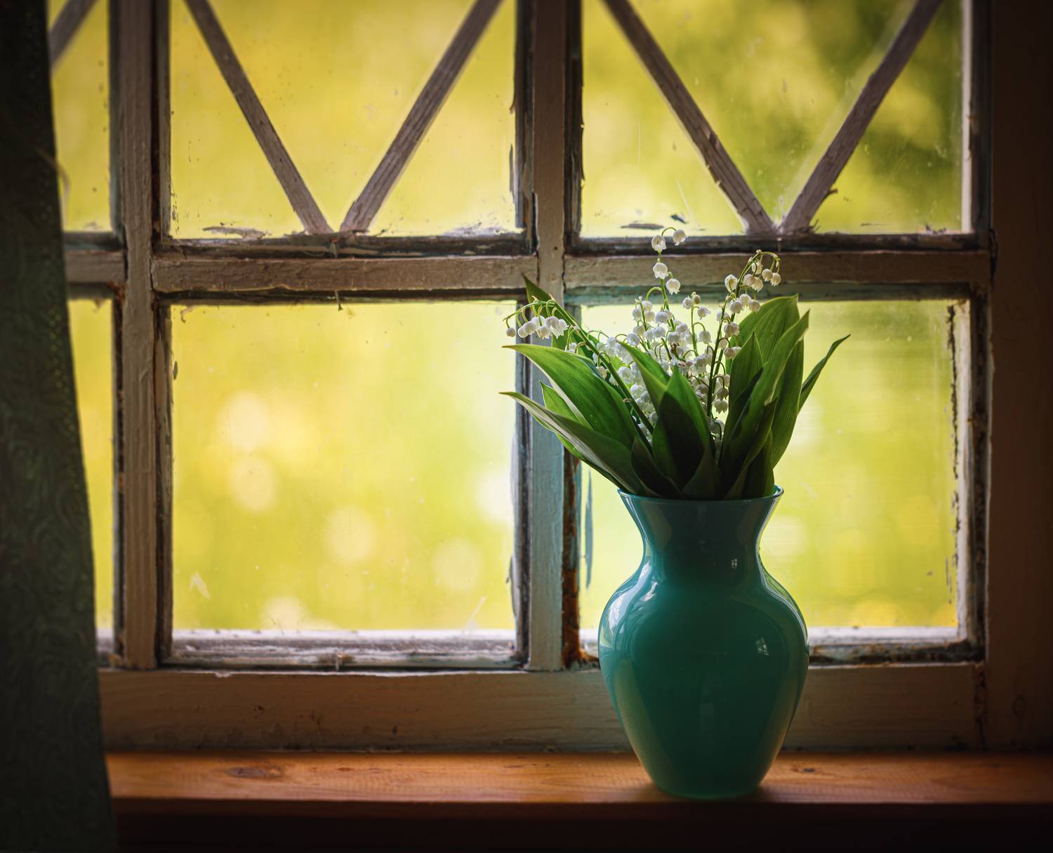 , Зеленько Дмитрий