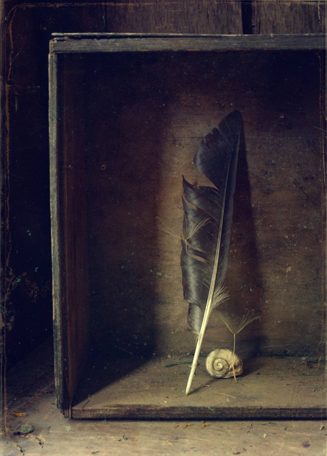 , Хромеев Александр