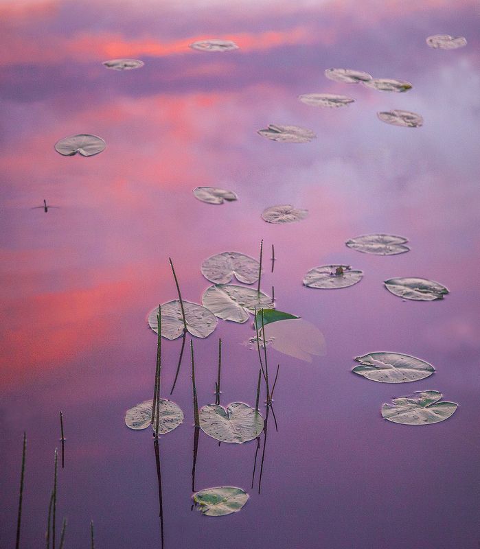 Утренний этюд фото превью