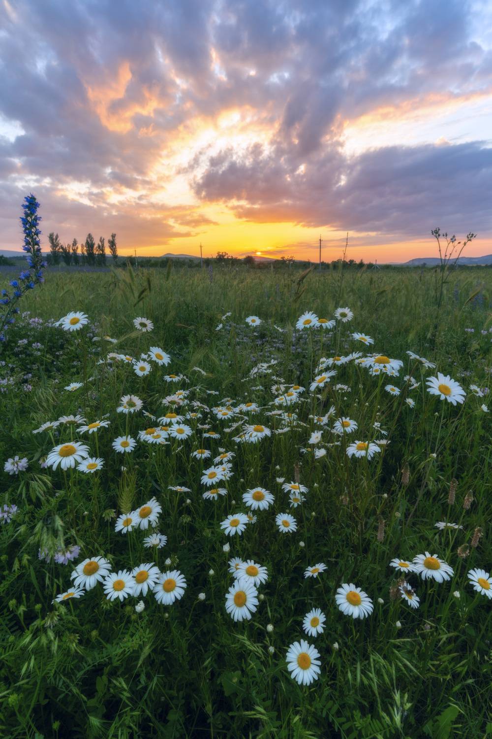 , Юлия Мальцева
