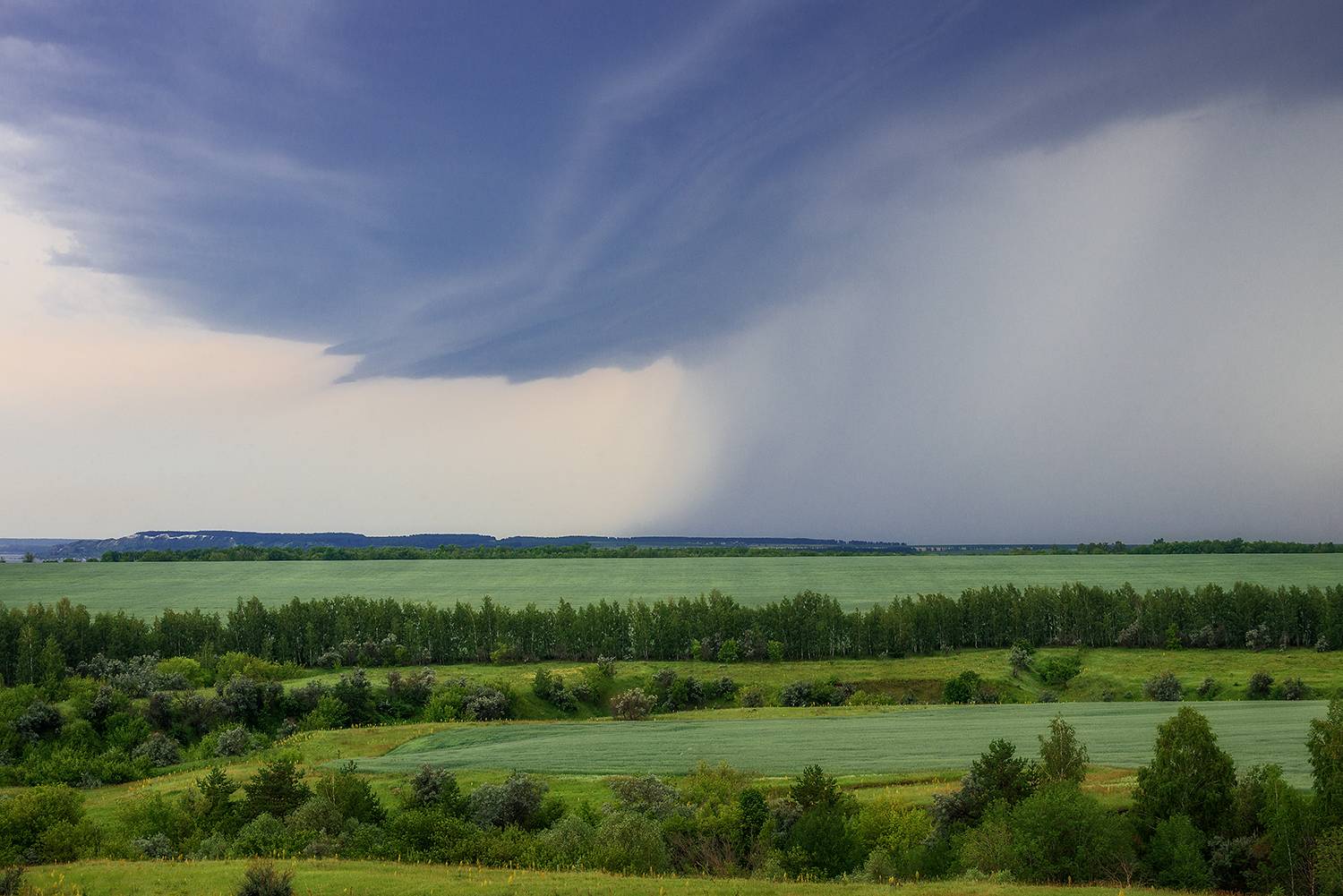 весна небо дожди, Владислав Никишин