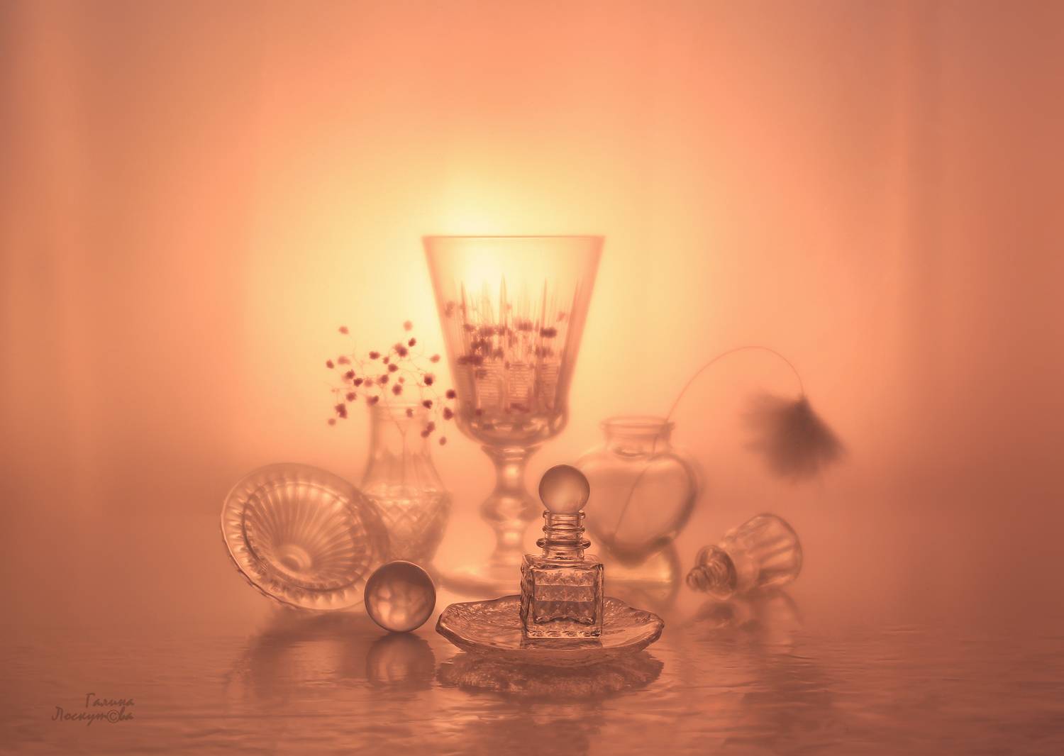 Стекло, бокал, пузырек, гипсофила, монохром, Галина Лоскутова