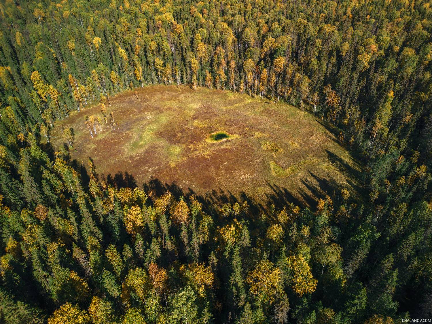 пейзаж, осень, болото, коми, север, тайга, Иван Чаланов