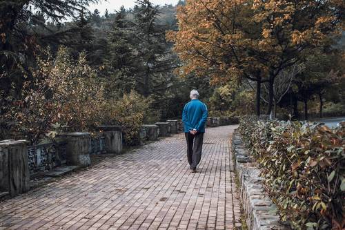 Вечерняя прогулка